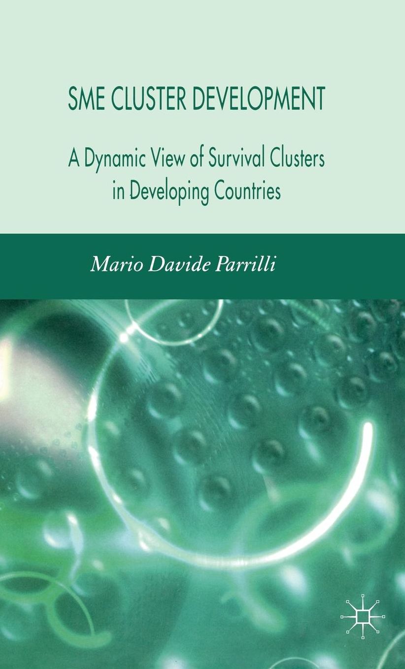 SME Cluster Development: A Dynamic View of Survival Clusters in Developing Countries