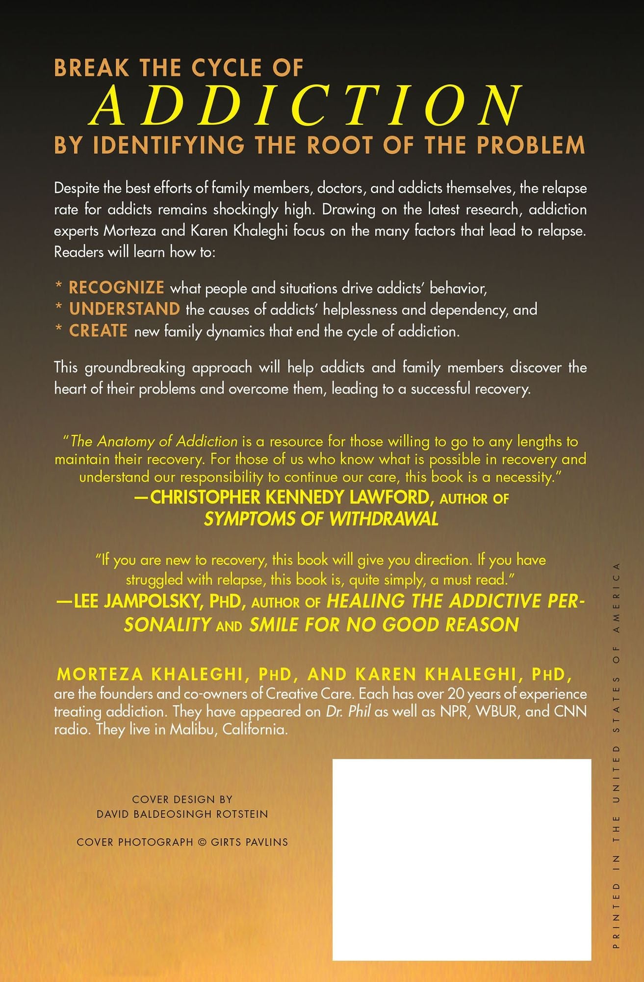 The Anatomy of Addiction: Overcoming the Triggers that Stand in the Way of Recovery