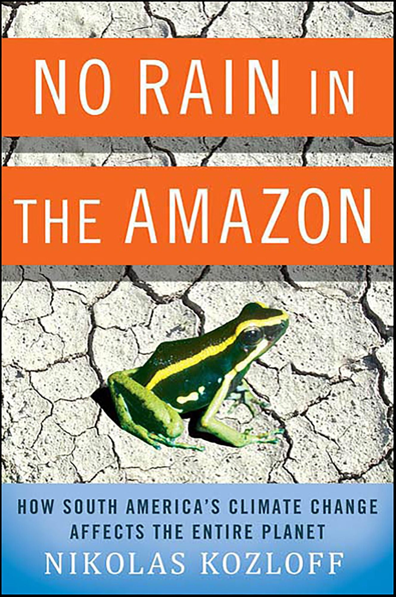 No Rain in the Amazon: How South America's Climate Change Affects the Entire Planet