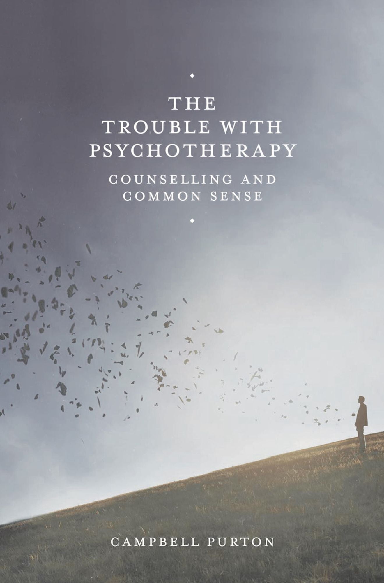 The Trouble with Psychotherapy: Counselling and Common Sense