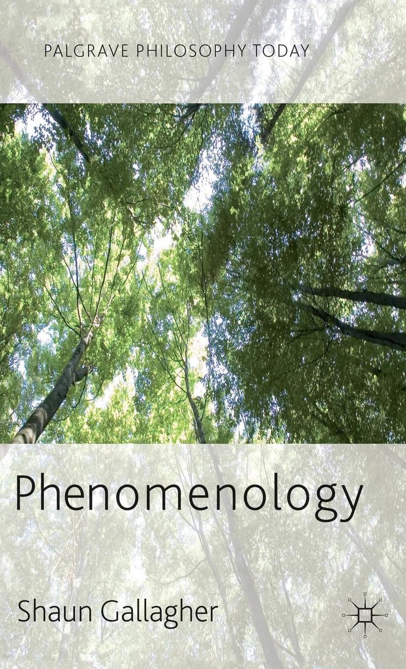 Phenomenology