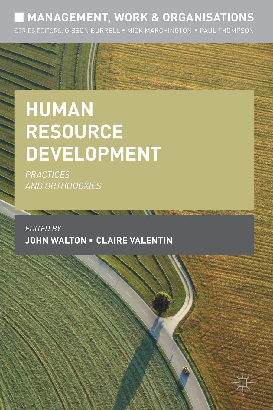 Human Resource Development: Practices and Orthodoxies
