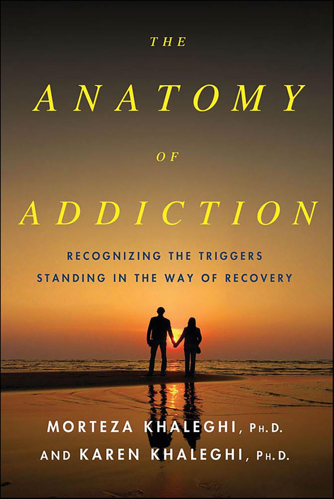 The Anatomy of Addiction: Overcoming the Triggers That Stand in the Way of Recovery