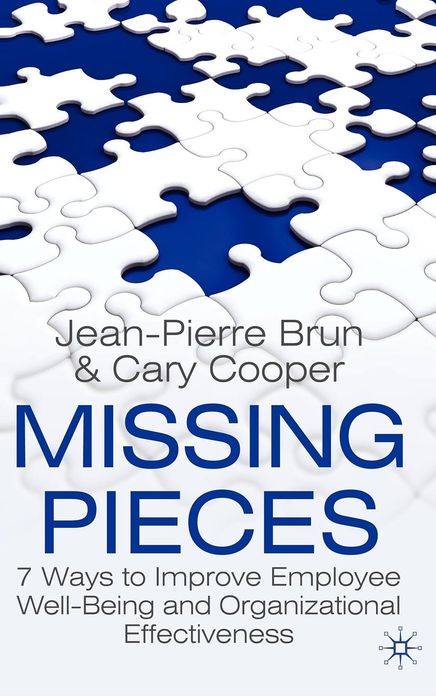 Missing Pieces: 7 Ways to Improve Employee Well-Being and Organizational Effectiveness