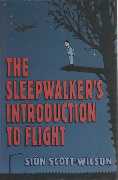 Sleepwalker's Introduction to Flight