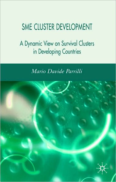 SME Cluster Development: A Dynamic View of Survival Clusters in Developing Countries