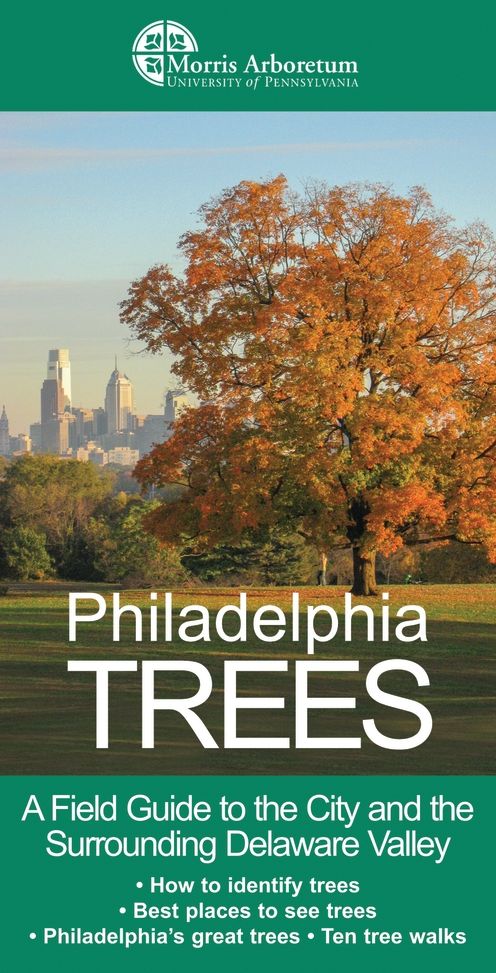 Philadelphia Trees: A Field Guide to the Trees of the City and the nearby Delaware Valley