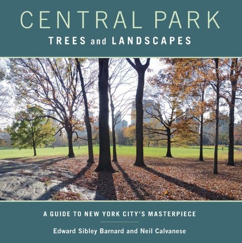 Central Park's Remarkable Trees and Treescapes