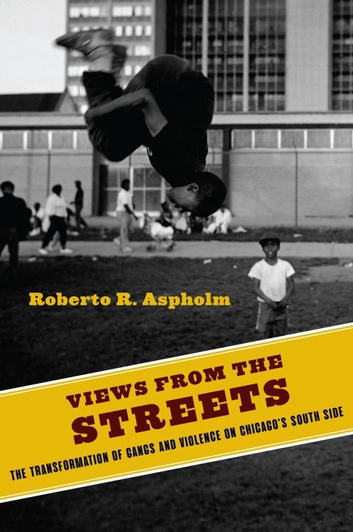 Views from the Streets : The Transformation of Gangs and Violence on Chicago's South Side