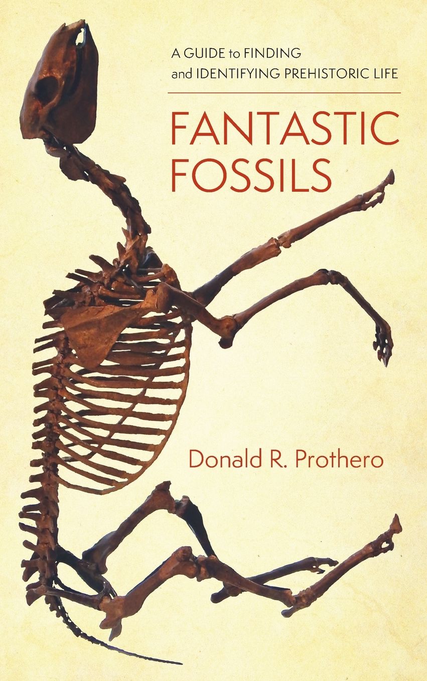 Fantastic Fossils : A Guide to Finding and Identifying Prehistoric Life