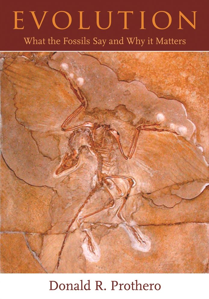 Evolution: Auction Design in Markets with Complex Constraints