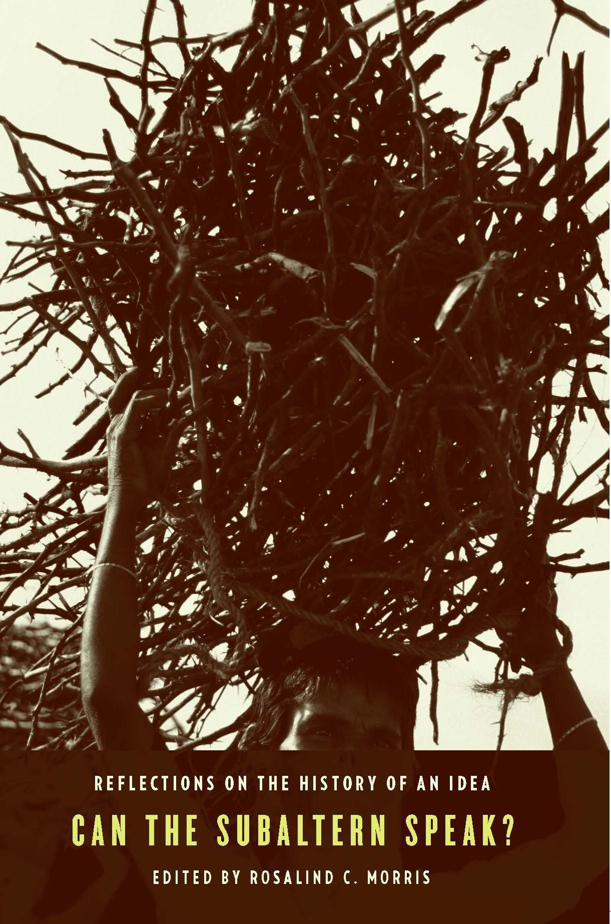 Can the Subaltern Speak?: Reflections on the History of an Idea