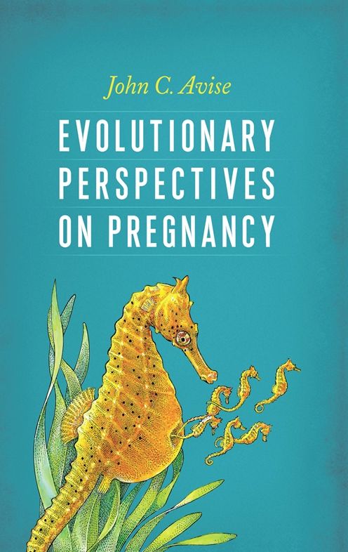 Evolutionary Perspectives on Pregnancy