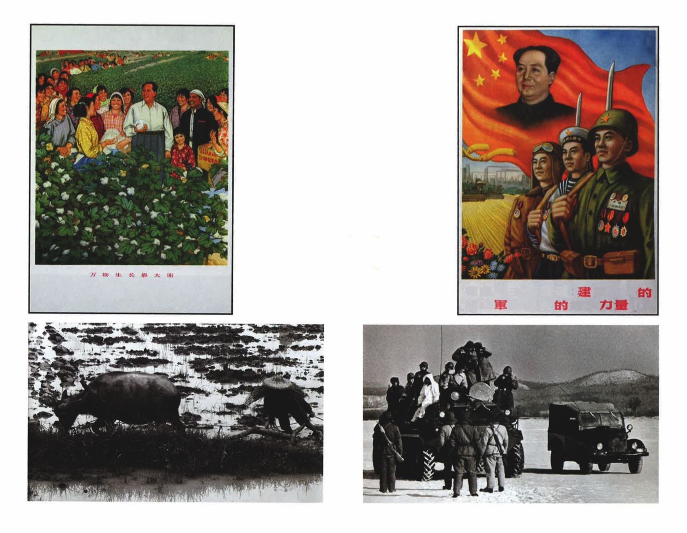 The Military History of China: From 1218 to the Present Day