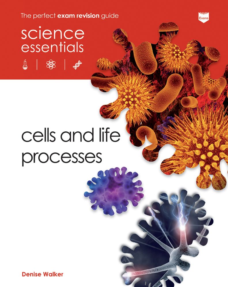 Cells and Life Processes