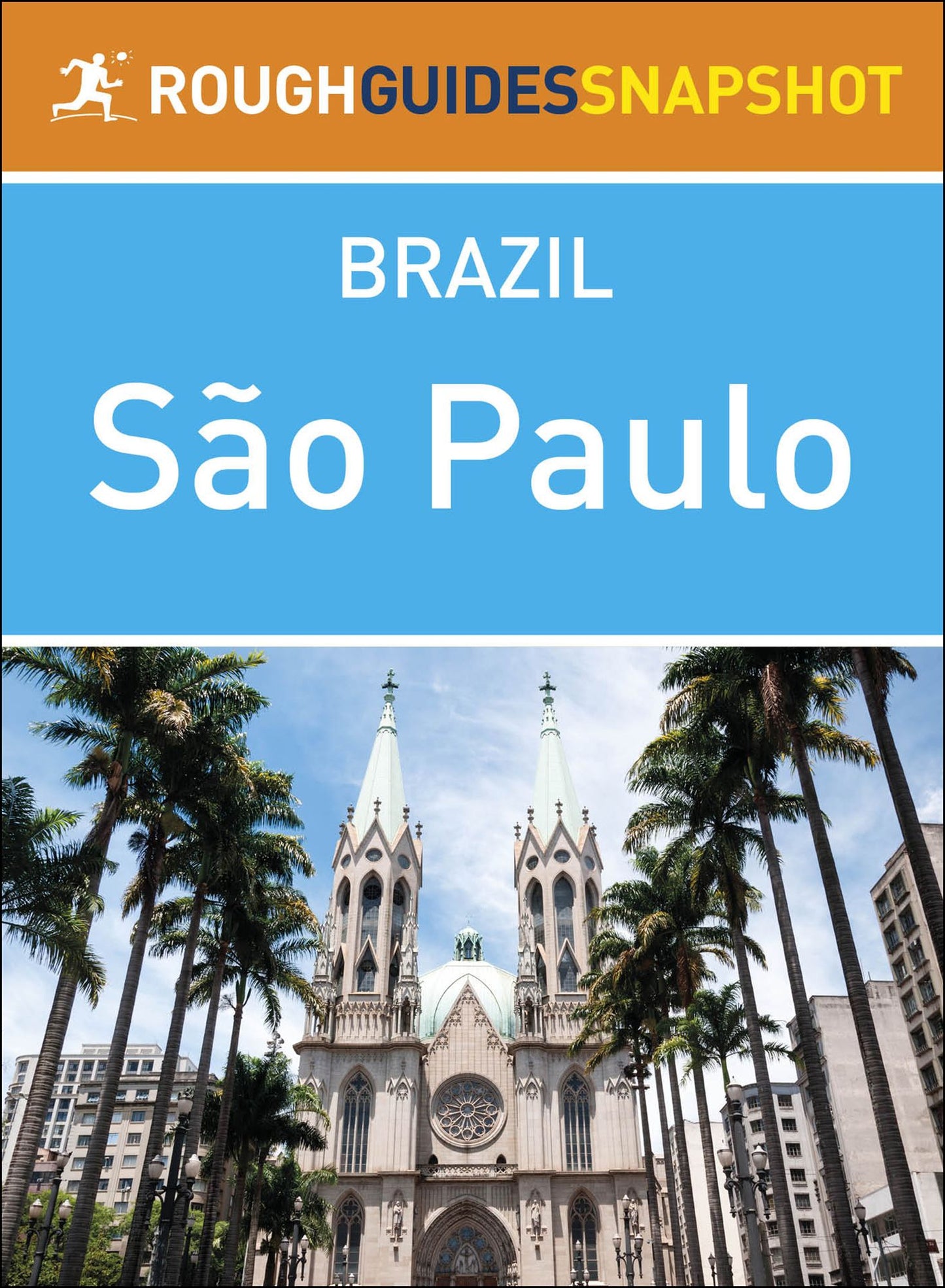 Sao Paulo (Rough Guides Snapshot Brazil)