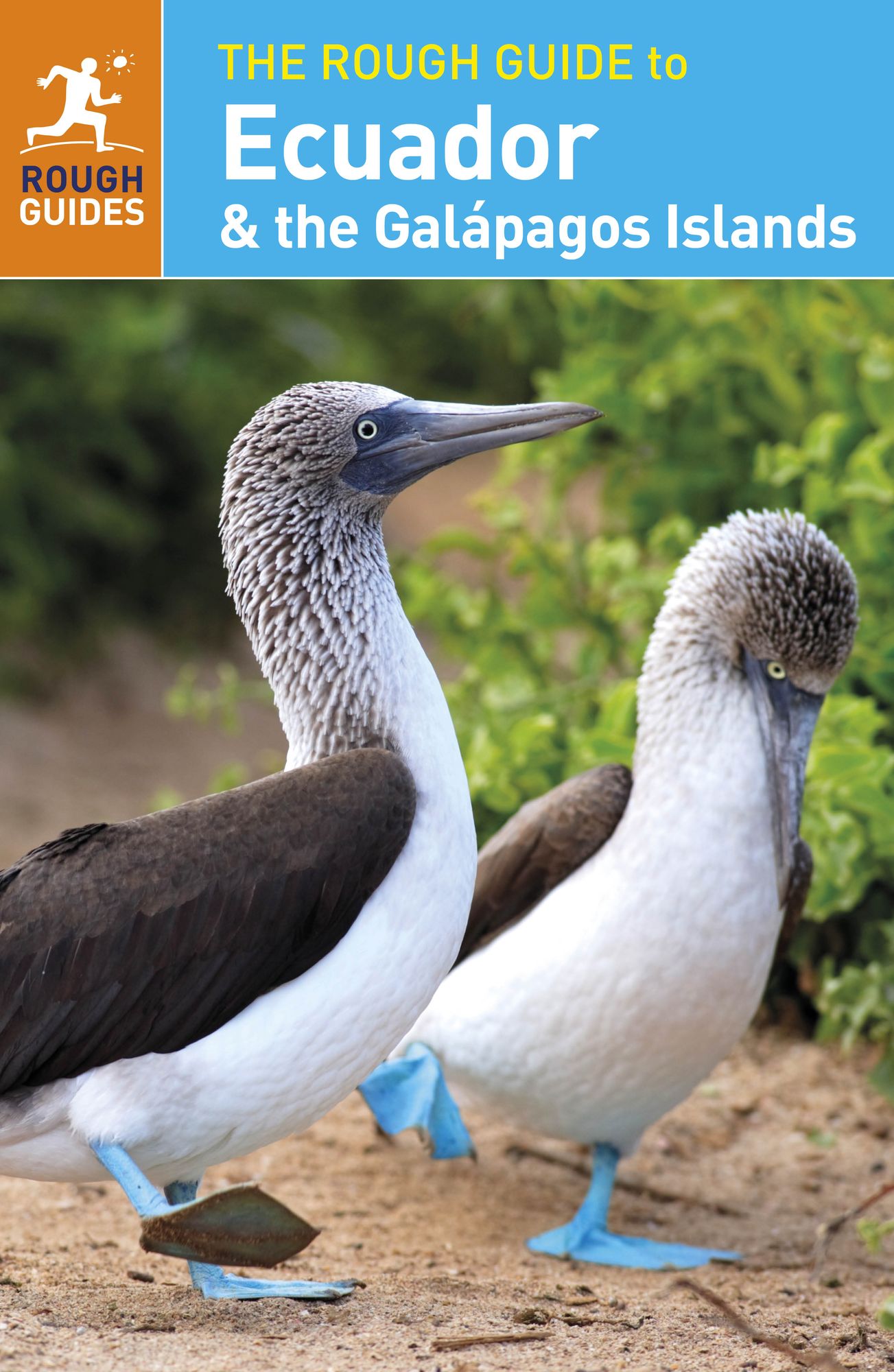 The Rough Guide to Ecuador & the Galapagos Islands