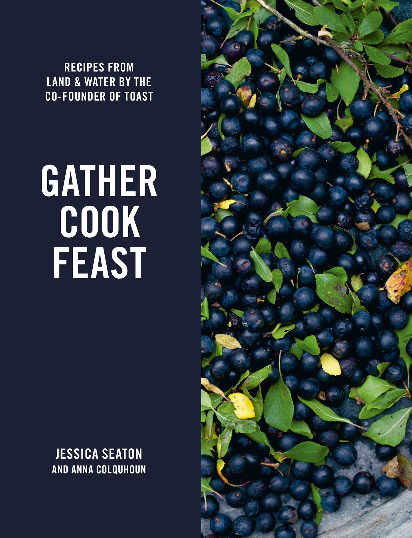 Gather Cook Feast: Recipes from Land and Water by the Co-Founder of Toast