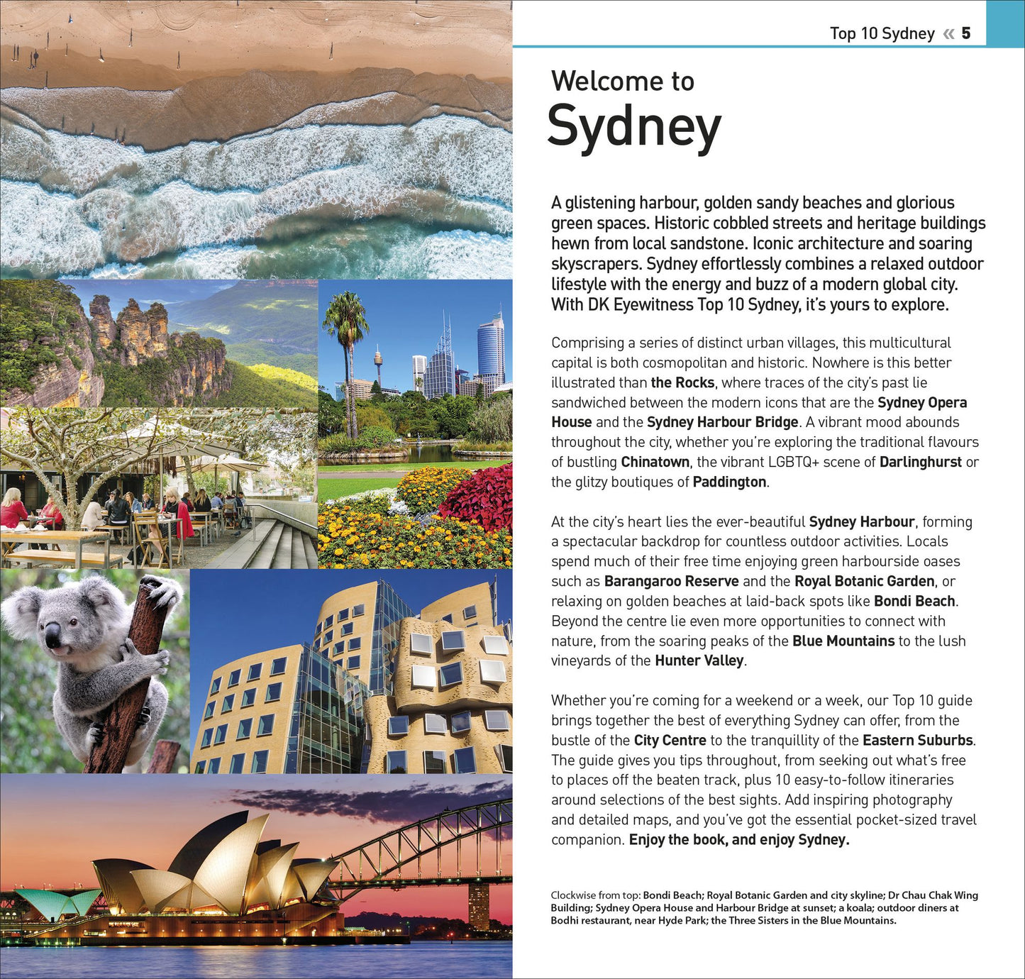DK Eyewitness Top 10 Sydney