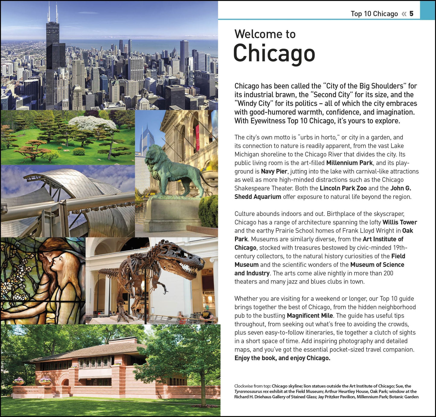 DK Eyewitness Top 10 Chicago