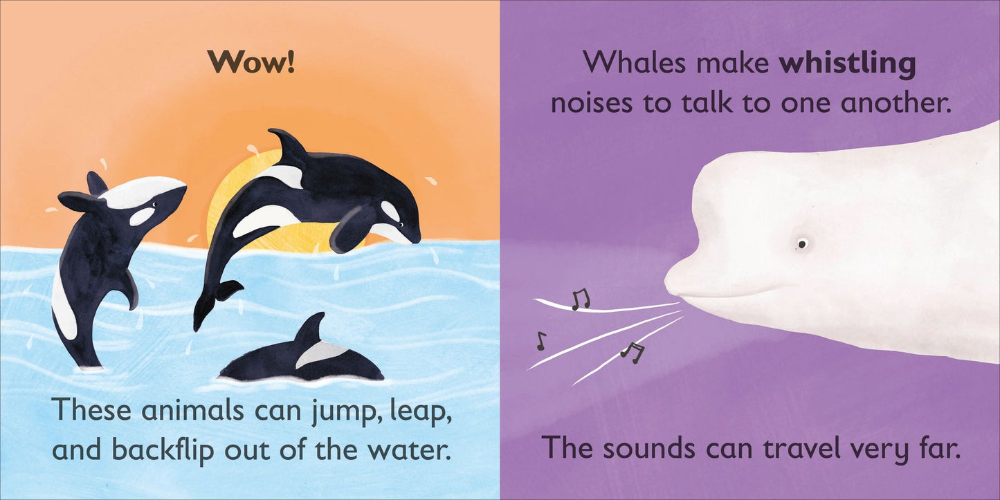 W is for Whale