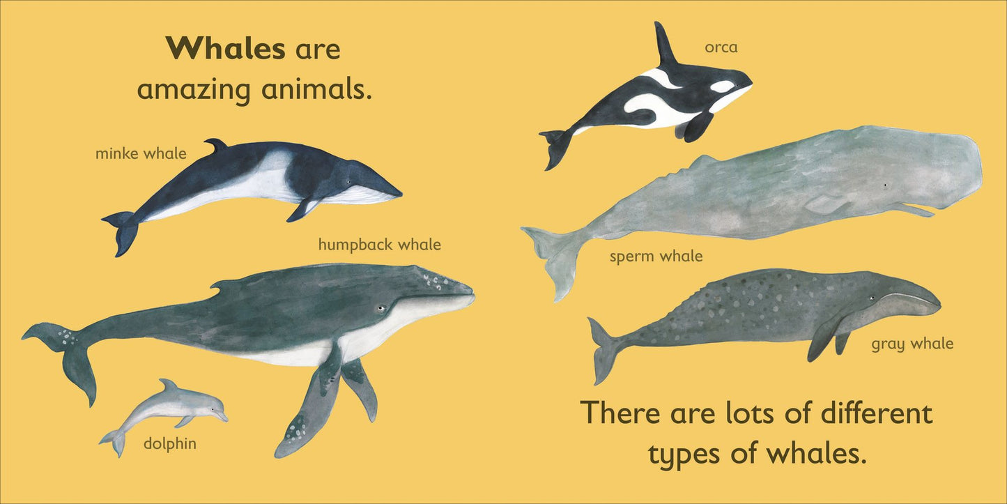 W is for Whale