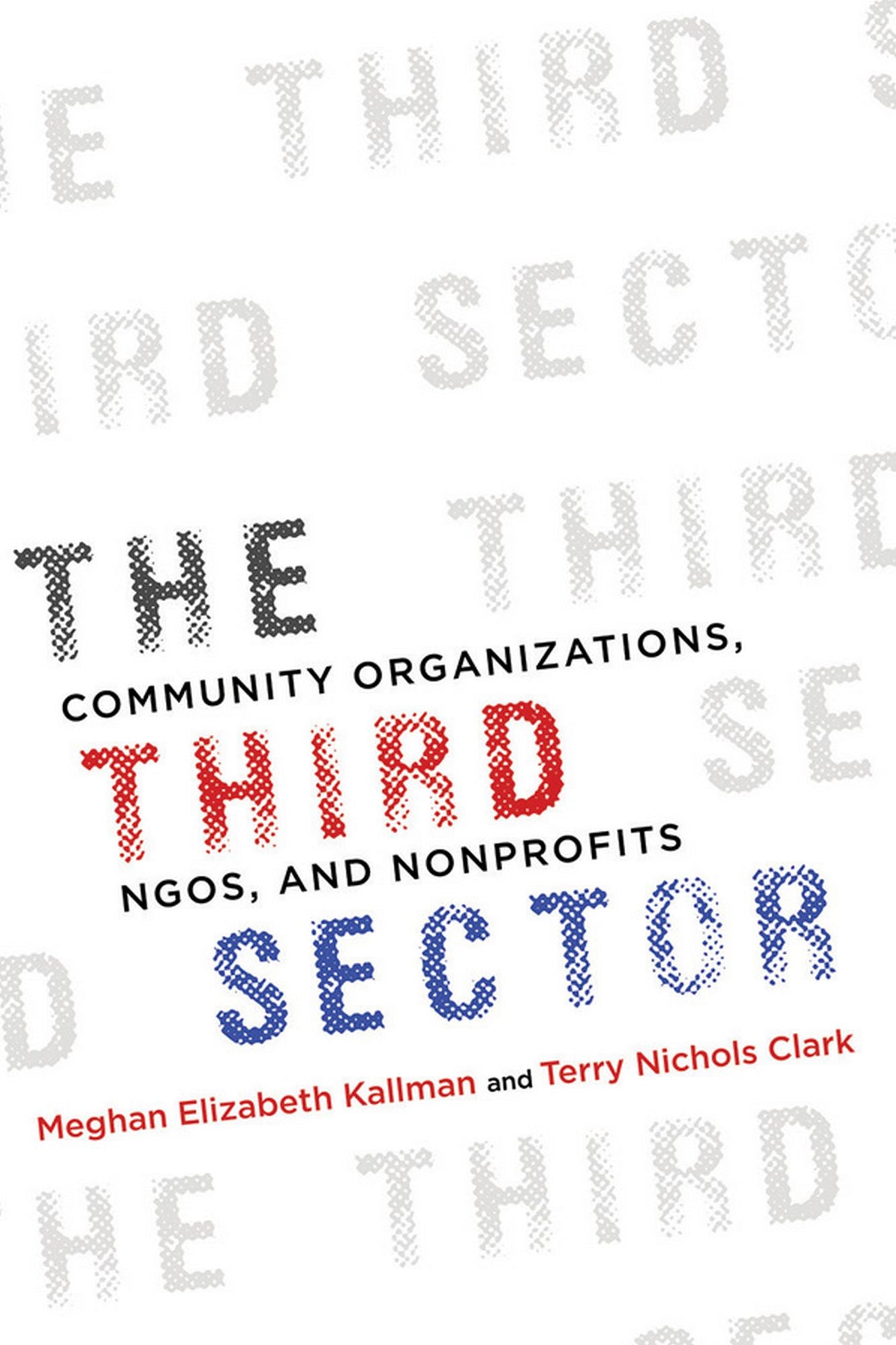 The Third Sector: Community Organizations, NGOs, and Nonprofits