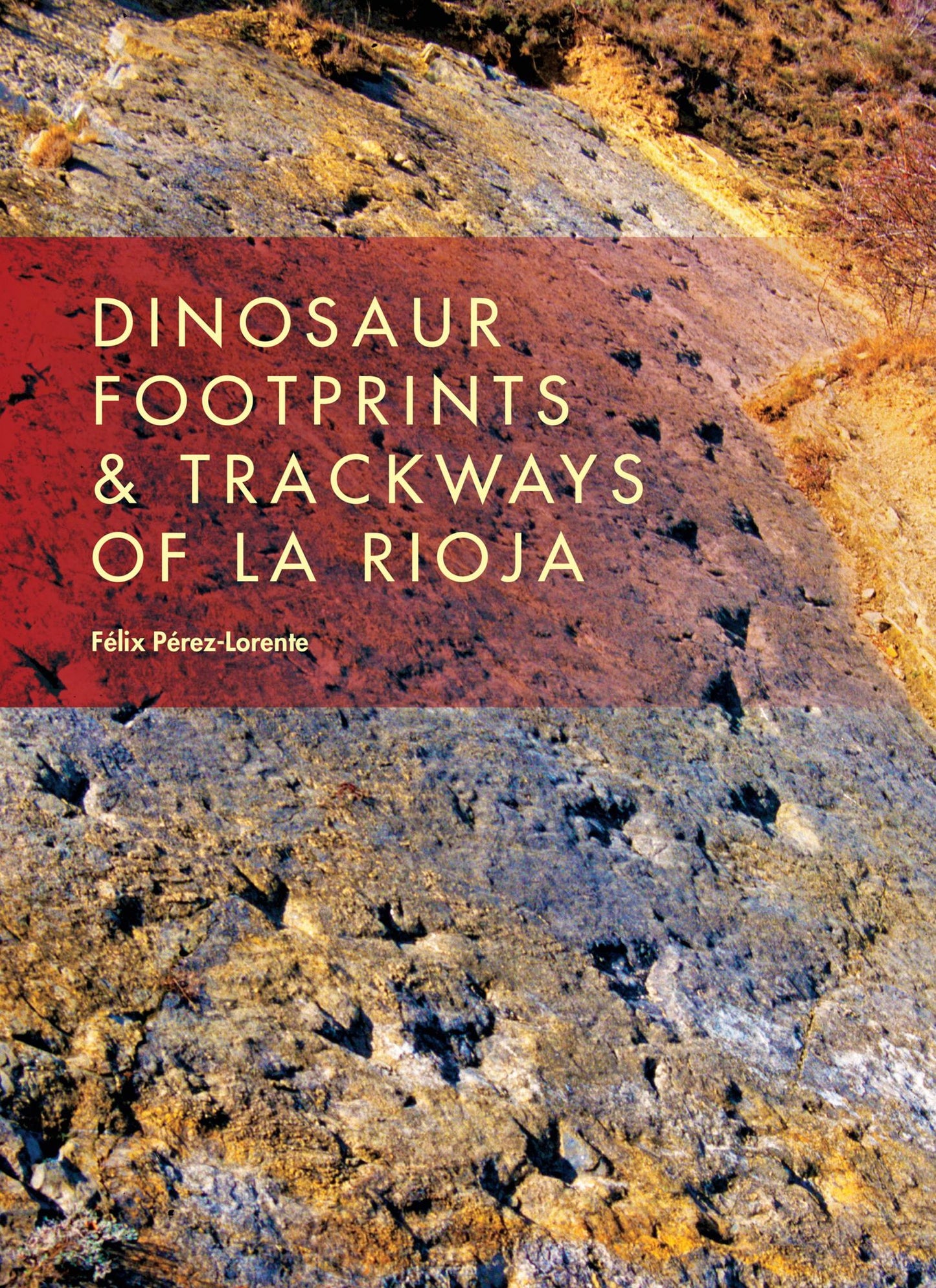 Dinosaur Footprints and Trackways of La Rioja