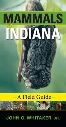 Mammals of Indiana: A Field Guide