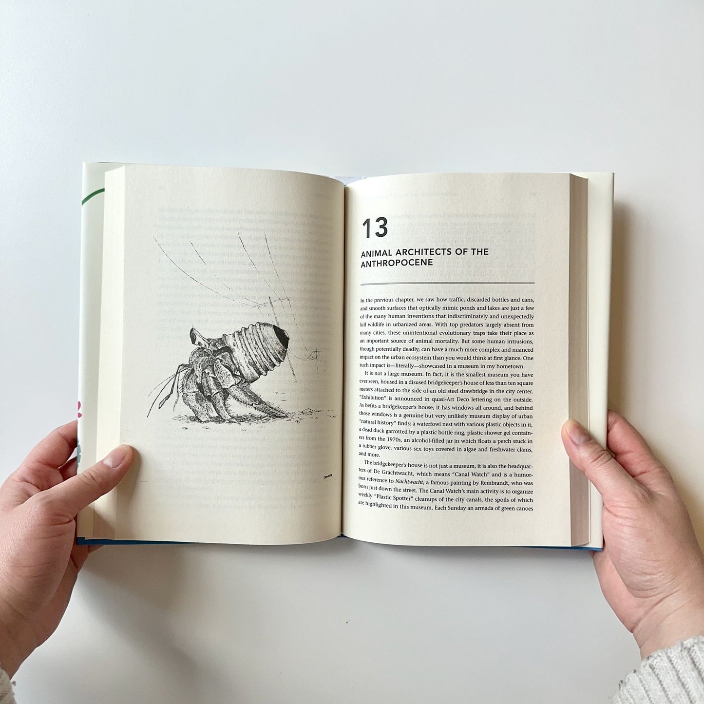 The Urban Naturalist: How to Make the City Your Scientific Playground