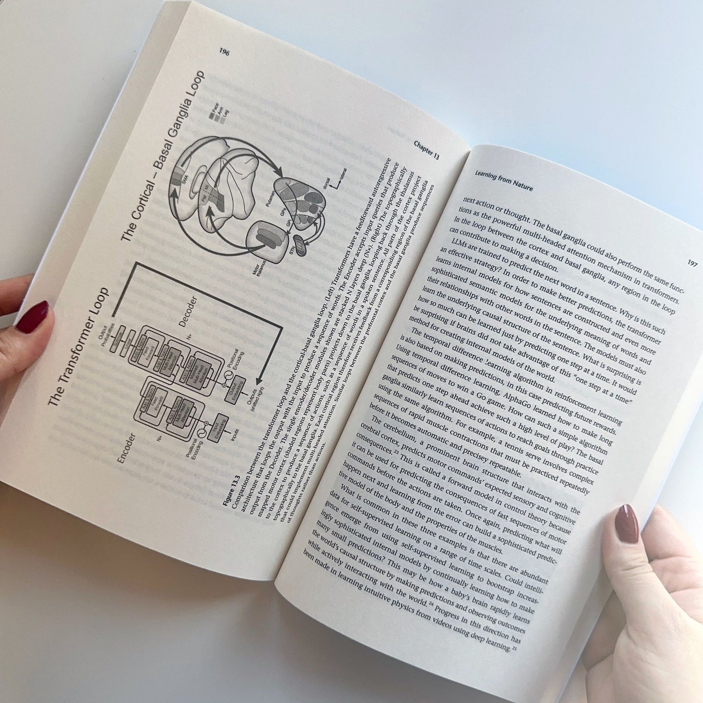 ChatGPT and the Future of AI: The Deep Language Revolution