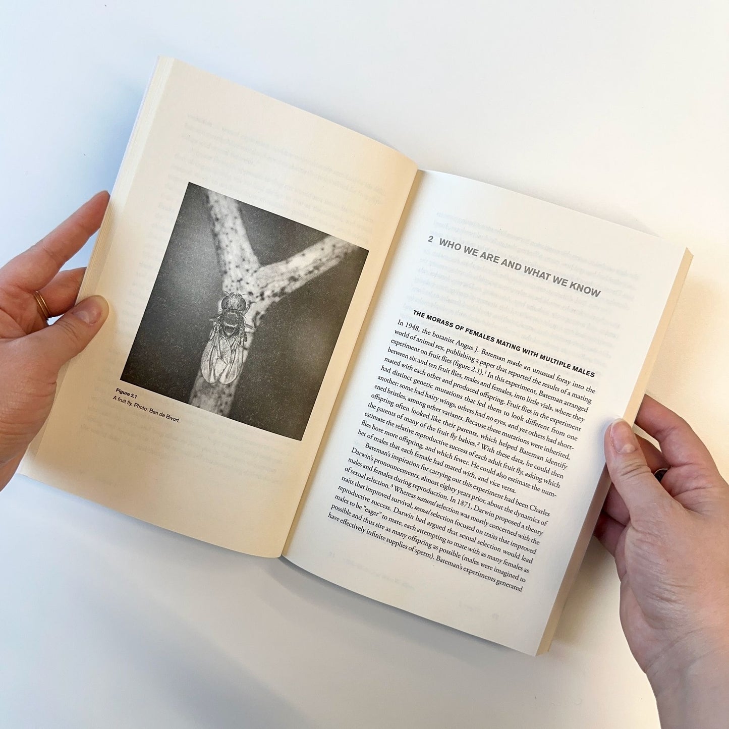 Feminism in the Wild: How Human Biases Shape Our Understanding of Animal Behavior