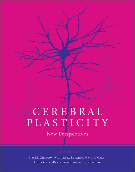 Cerebral Plasticity: New Perspectives (PagePerfect NOOK Book)