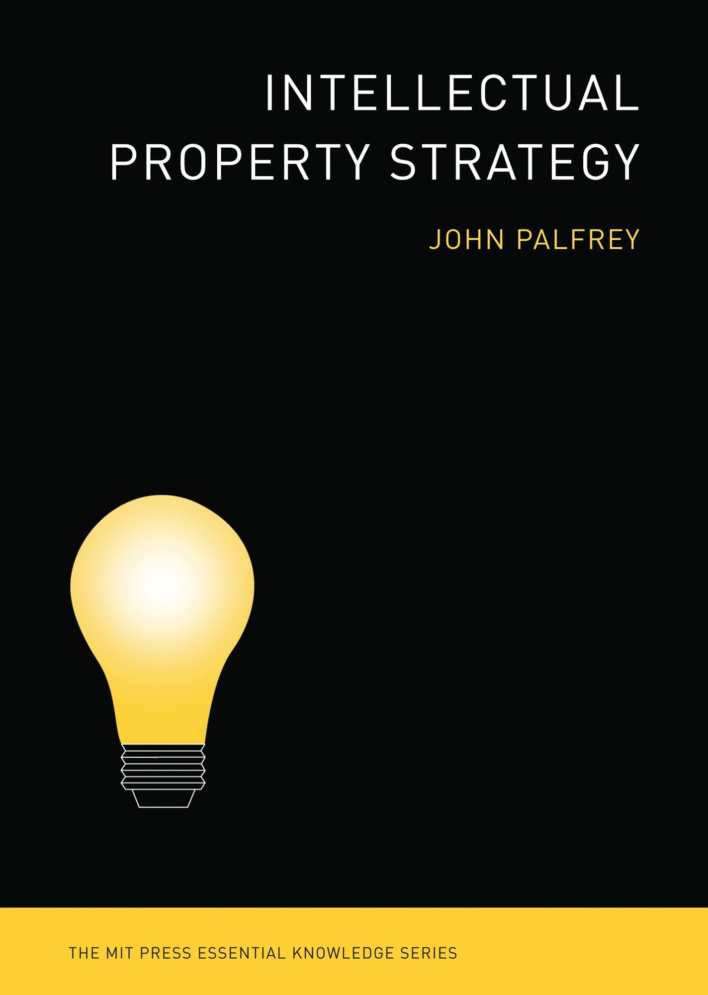 Intellectual Property Strategy