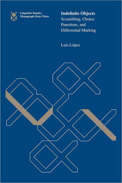 Indefinite Objects: Scrambling, Choice Functions, and Differential Marking (PagePerfect NOOK Book)