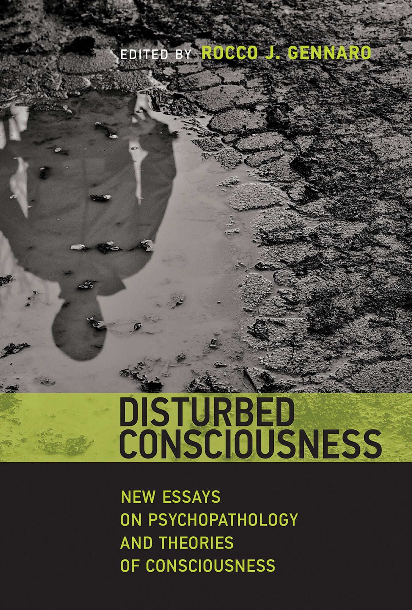 Disturbed Consciousness: New Essays on Psychopathology and Theories of Consciousness