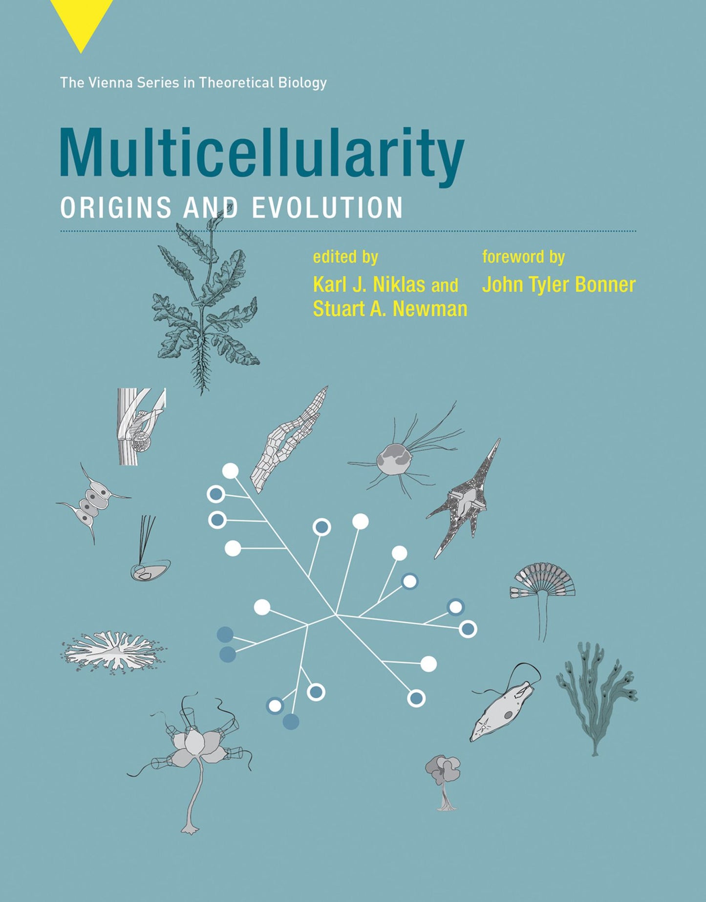 Multicellularity: Origins and Evolution