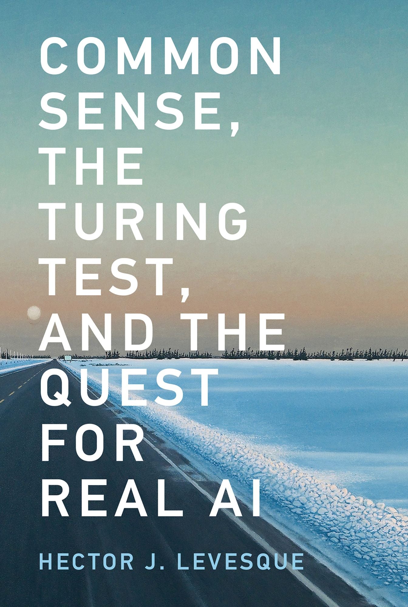 Common Sense, the Turing Test, and the Quest for Real AI