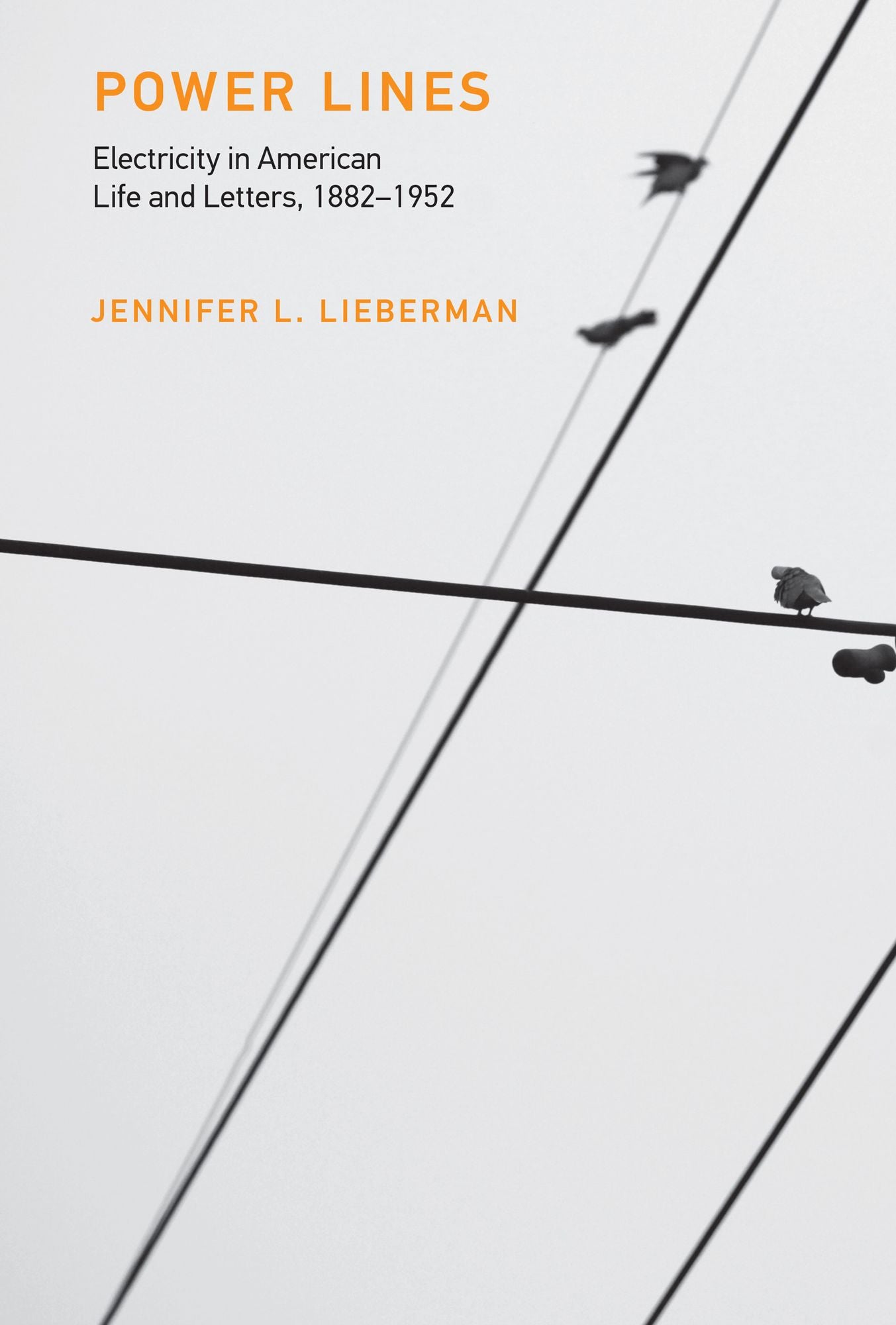 Power Lines: Electricity in American Life and Letters, 1882-1952