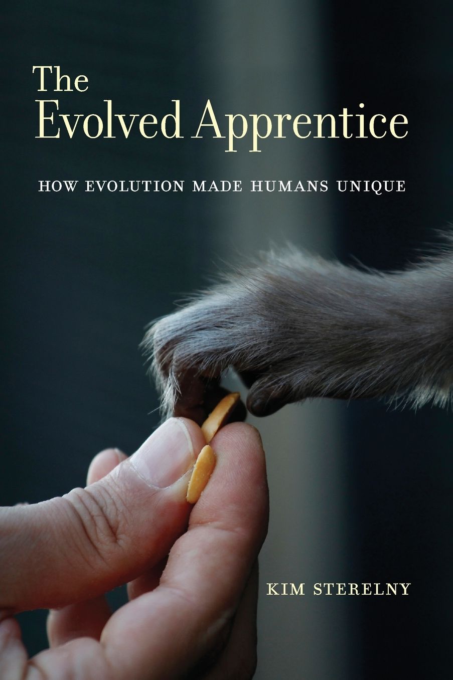 Evolved Apprentice