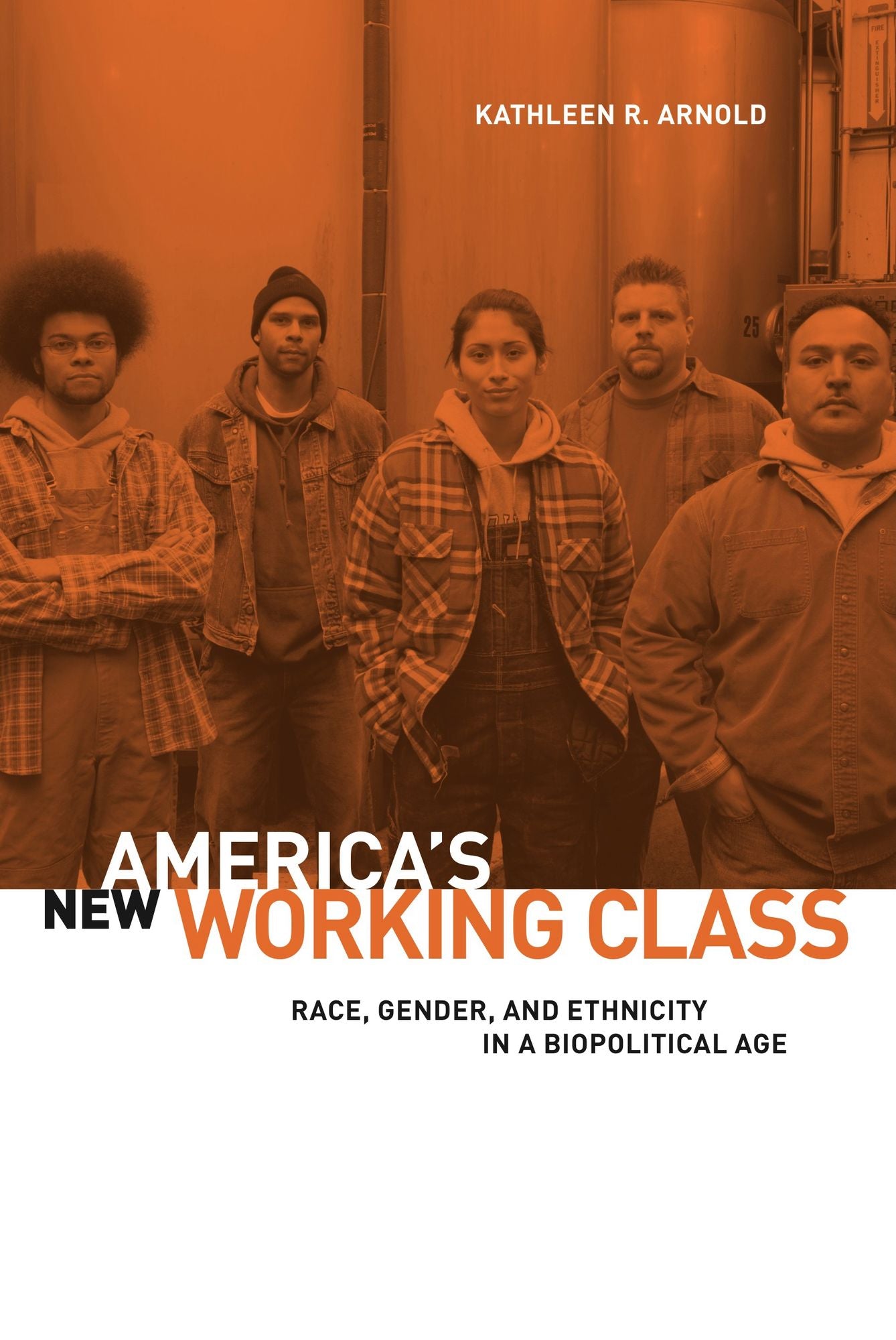 America's New Working Class: Race, Gender, and Ethnicity in a Biopolitical Age