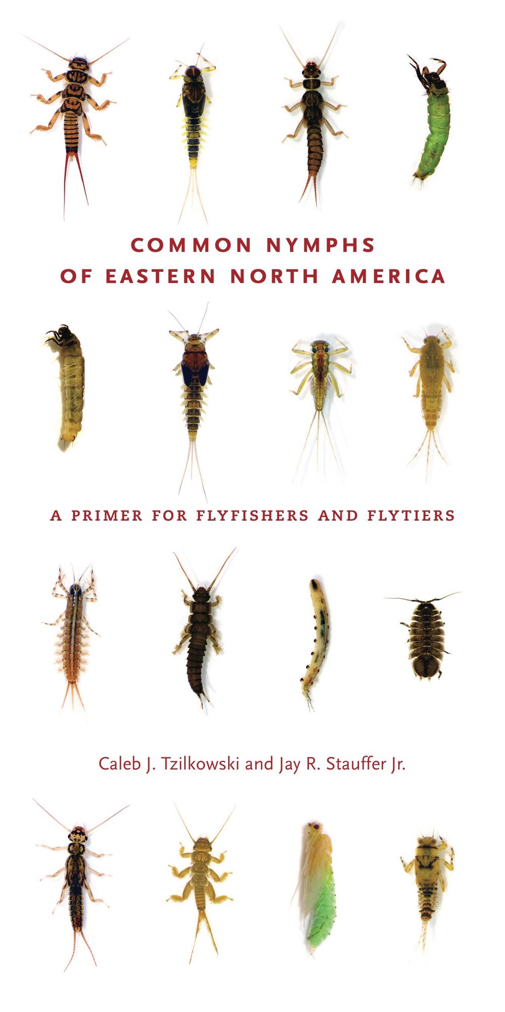 Common Nymphs of Eastern North America: A Primer for Flyfishers and Flytiers