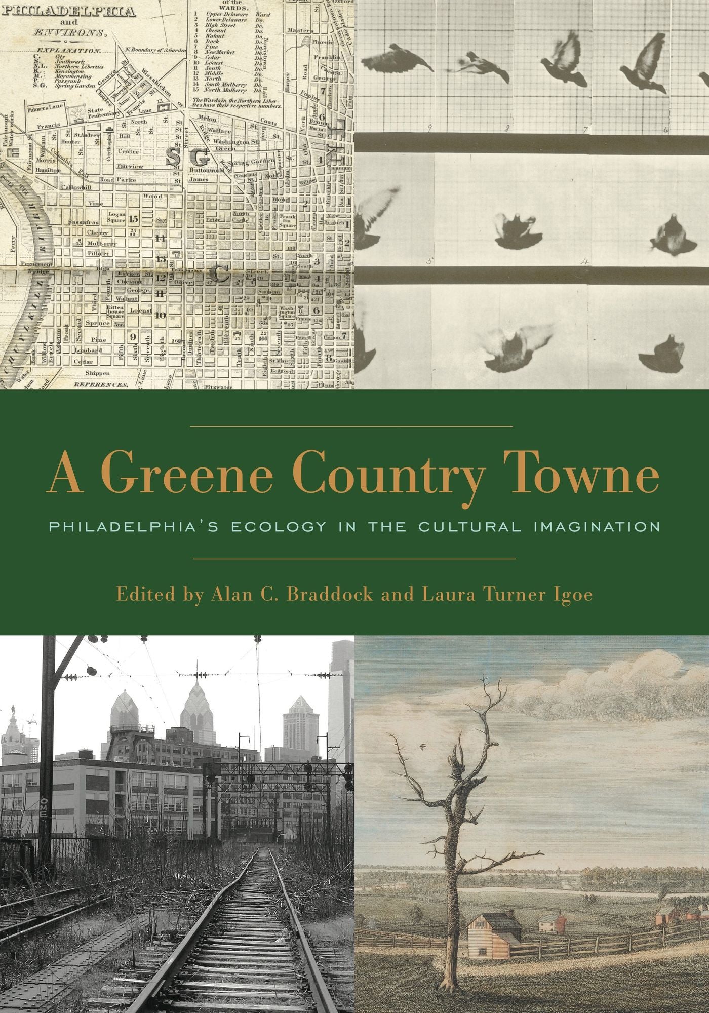 A Greene Country Towne: Philadelphia's Ecology in the Cultural Imagination