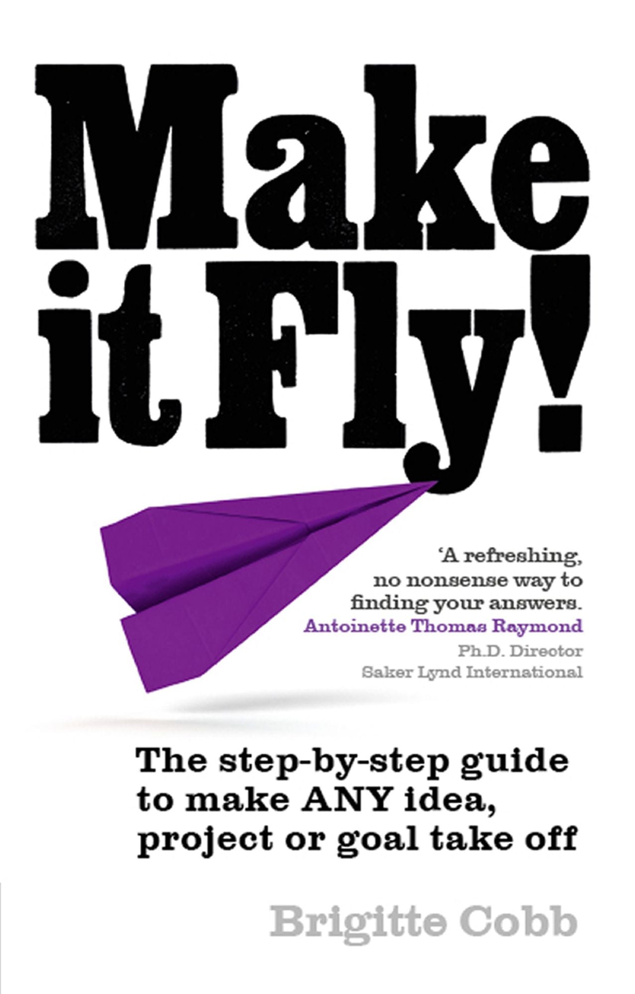 Make It Fly! ePub eBook: The step by step guide to make ANY idea, project or goal take off