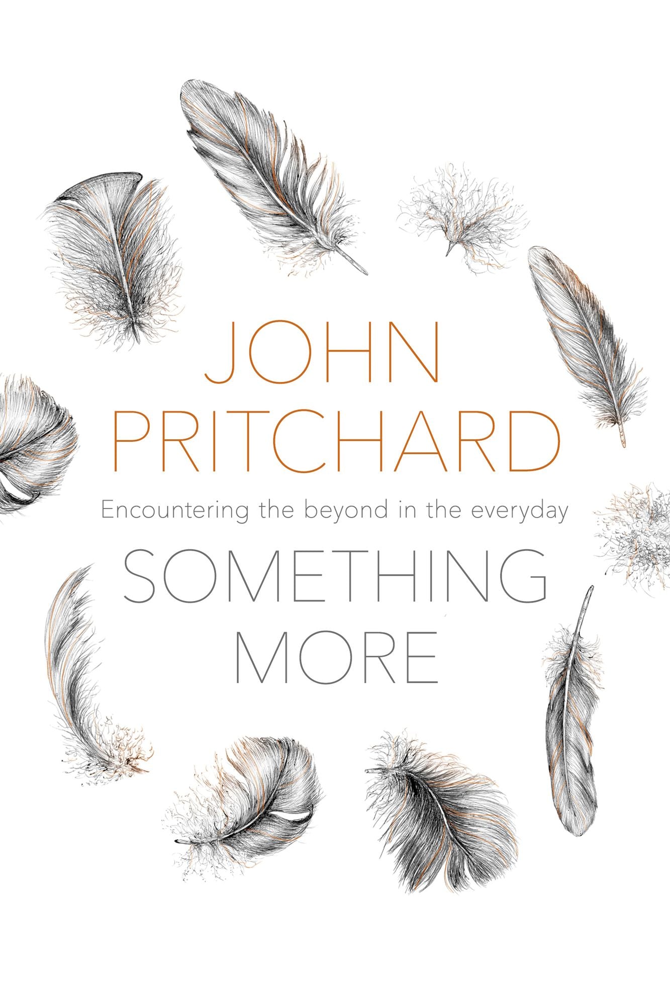 Something More: Encountering the beyond in the everyday