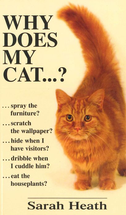 Why Does My Cat . . . ?