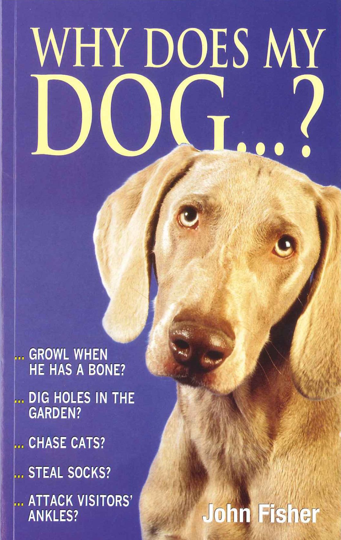 Why Does My Dog . . . ?