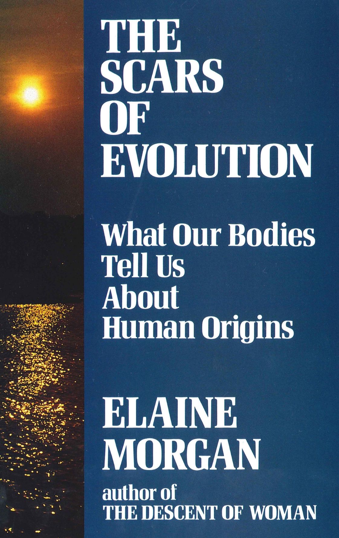 The Scars of Evolution: What Our Bodies Tell Us About Human Origins