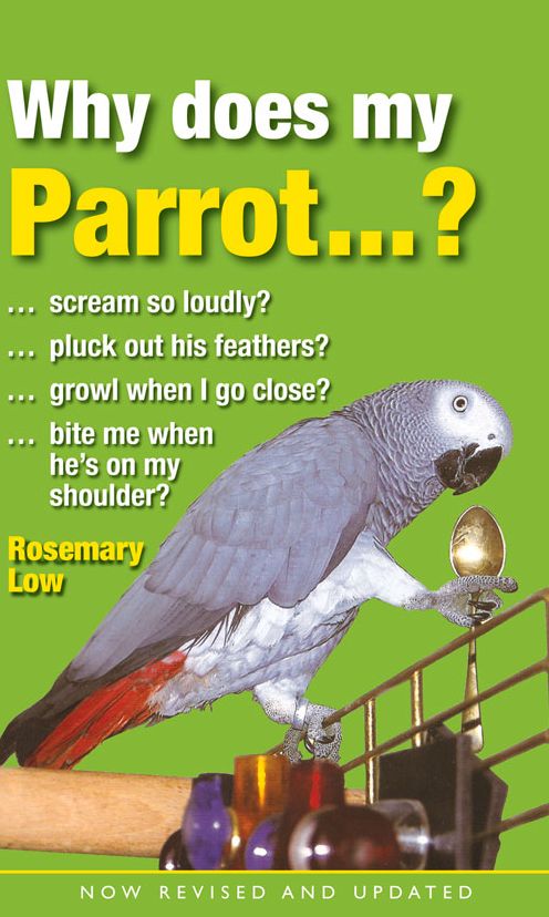 Why Does My Parrot . . . ?