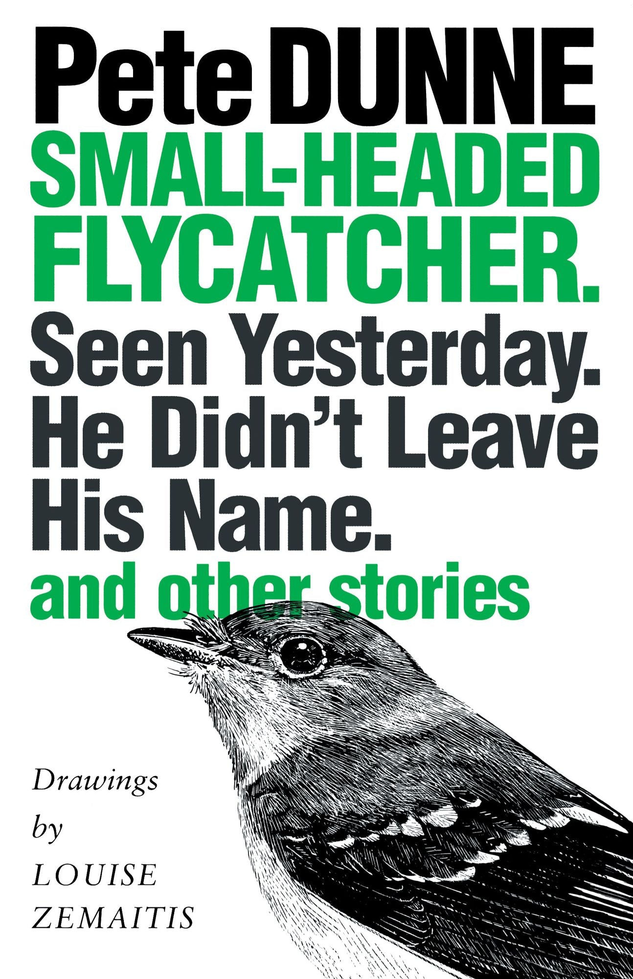 Small-Headed Flycatcher. Seen Yesterday. He Didn'T Leave His Name.